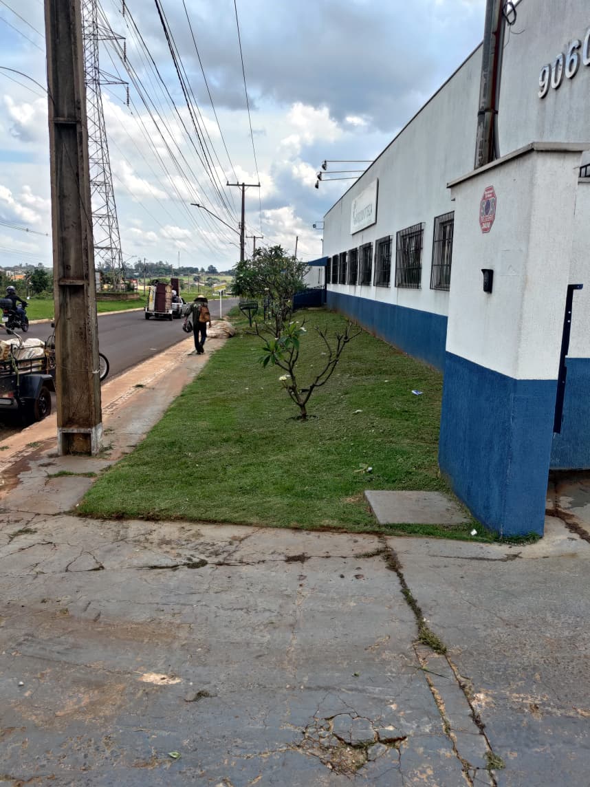 Manutenção e limpeza de áreas verdes comerciais e empresas